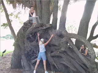 small_021020 hilton headIMG_9184.webp